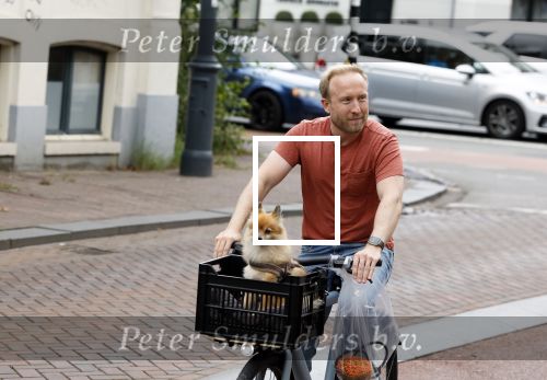 Haarlem 31 augustus 2025
Raymond Mens met hondje op de fiets in het centrum van Haarlem .
