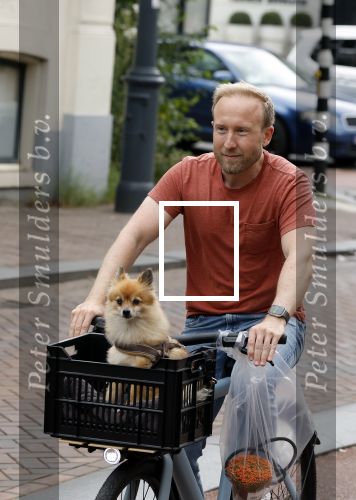 Haarlem 31 augustus 2025
Raymond Mens met hondje op de fiets in het centrum van Haarlem .