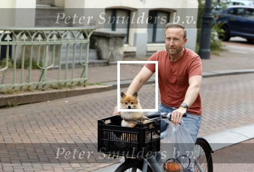 Haarlem 31 augustus 2025
Raymond Mens met hondje op de fiets in het centrum van Haarlem .