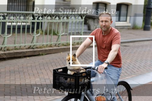 Haarlem 31 augustus 2025
Raymond Mens met hondje op de fiets in het centrum van Haarlem .