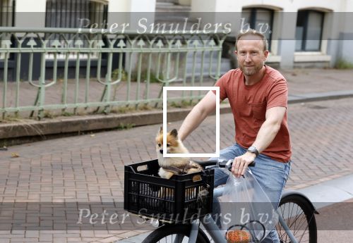 Haarlem 31 augustus 2025
Raymond Mens met hondje op de fiets in het centrum van Haarlem .