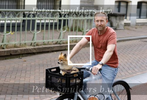 Haarlem 31 augustus 2025
Raymond Mens met hondje op de fiets in het centrum van Haarlem .