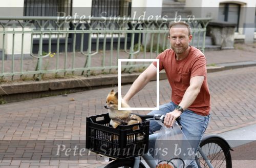 Haarlem 31 augustus 2025
Raymond Mens met hondje op de fiets in het centrum van Haarlem .