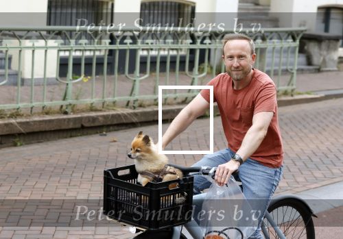 Haarlem 31 augustus 2025
Raymond Mens met hondje op de fiets in het centrum van Haarlem .