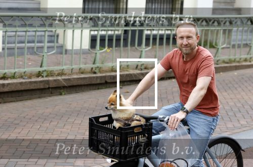 Haarlem 31 augustus 2025
Raymond Mens met hondje op de fiets in het centrum van Haarlem .