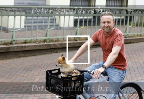 Haarlem 31 augustus 2025
Raymond Mens met hondje op de fiets in het centrum van Haarlem .