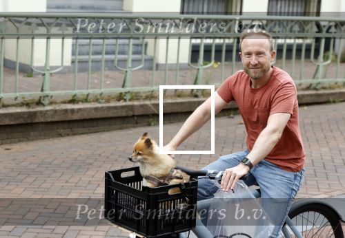 Haarlem 31 augustus 2025
Raymond Mens met hondje op de fiets in het centrum van Haarlem .