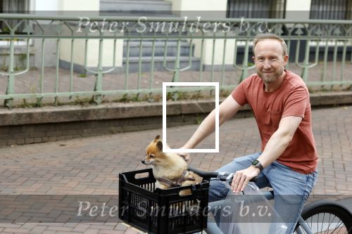 Haarlem 31 augustus 2025
Raymond Mens met hondje op de fiets in het centrum van Haarlem .