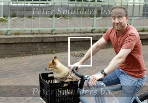 Haarlem 31 augustus 2025
Raymond Mens met hondje op de fiets in het centrum van Haarlem .