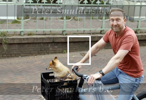 Haarlem 31 augustus 2025
Raymond Mens met hondje op de fiets in het centrum van Haarlem .