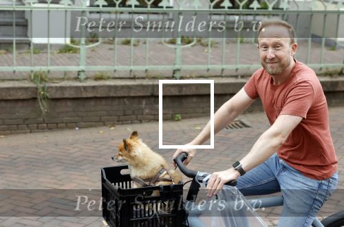 Haarlem 31 augustus 2025
Raymond Mens met hondje op de fiets in het centrum van Haarlem .