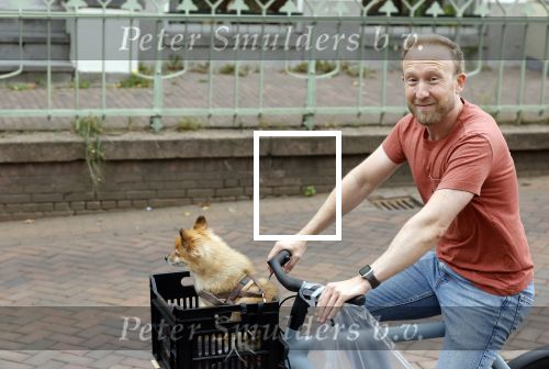 Haarlem 31 augustus 2025
Raymond Mens met hondje op de fiets in het centrum van Haarlem .