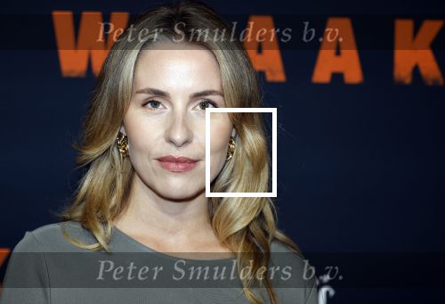 Amsterdam 2 september 2025
Premiere Wraak . Sanne Langelaar en partner David Lucieer