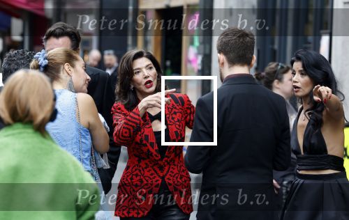 Amsterdam 3 september 2025
Septimius Awards, in Tuschinski Theater. Shoreh Aghdashloo