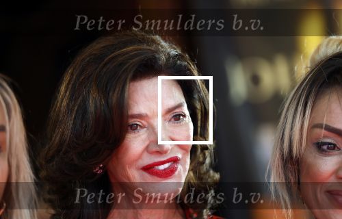 Amsterdam 3 september 2025
Septimius Awards, in Tuschinski Theater. Shoreh Aghdashloo