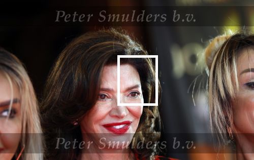 Amsterdam 3 september 2025
Septimius Awards, in Tuschinski Theater. Shoreh Aghdashloo