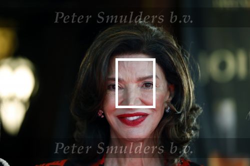 Amsterdam 3 september 2025
Septimius Awards, in Tuschinski Theater. Shoreh Aghdashloo