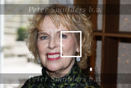 Amsterdam 26 september 2025
Boekpresentatie Simone v d Ende in restaurant Rijks . Chantal Janzen ontvangt het eerste boek .