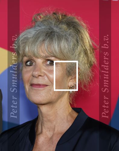 Hilversum 9 september 2025
NPO najaarspresentatie bij beeld en geluid . Lammert de Bruin en Suzanne Bosman