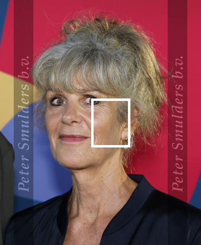 Hilversum 9 september 2025
NPO najaarspresentatie bij beeld en geluid . Lammert de Bruin en Suzanne Bosman