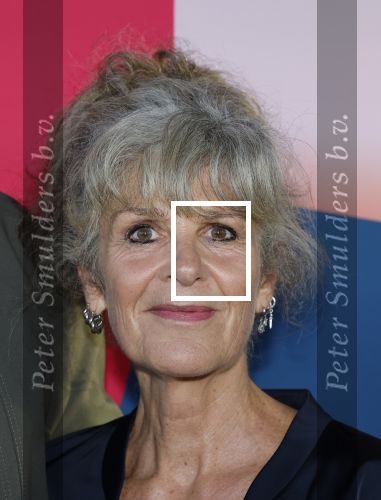 Hilversum 9 september 2025
NPO najaarspresentatie bij beeld en geluid . Lammert de Bruin en Suzanne Bosman