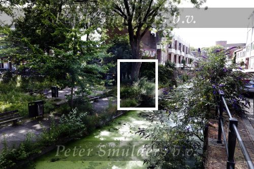 Utrecht 17 juli 2025
In het centrum staan heel veel huizen te Koop . Punt Makelaars is een van de grootste makelaars .