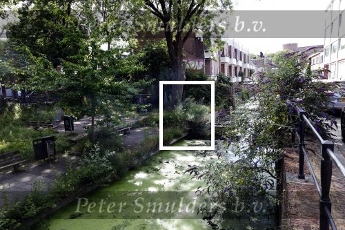 Utrecht 17 juli 2025
In het centrum staan heel veel huizen te Koop . Punt Makelaars is een van de grootste makelaars .