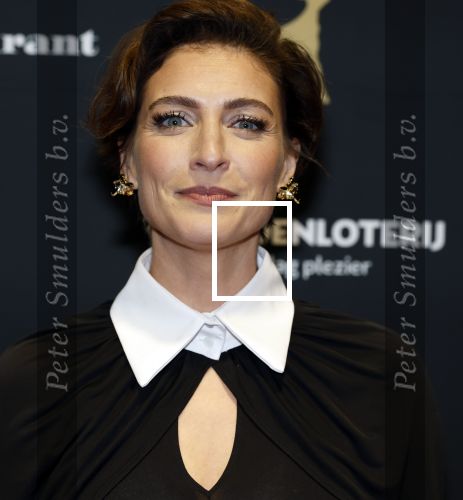 Utrecht 26 september 2025
Premiere voor de meisjes tijdens openingsavond Filmdagen Utrecht 2025 in de stadsschouwburg . Vivienne v d Assem