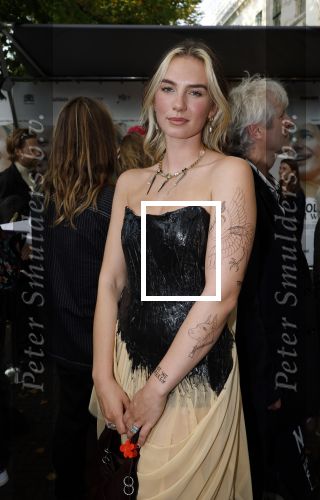 Den Haag 3 september 2025
Premiere Goldband in Pathe Buitenhof Den Haag . Maan met nep tatoo\'s