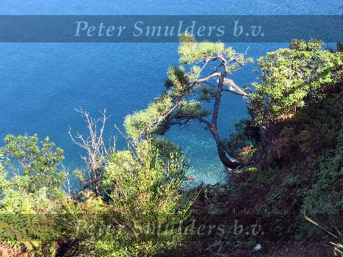 Het eiland Madeira ( behorend bij Portugal )