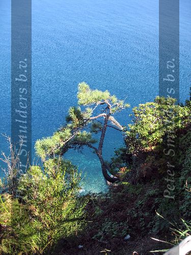 Het eiland Madeira ( behorend bij Portugal )