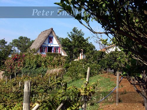 Het eiland Madeira ( behorend bij Portugal )
Typische arbeiderswoning