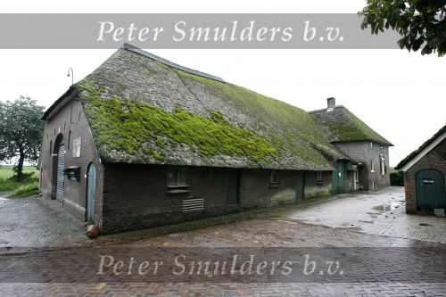 Gorssel28 augustus 2006
Deze boederij zouden Katja Schuurman en Thijs Romer gekocht hebben.