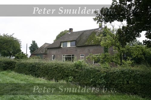 Gorssel28 augustus 2006
Deze boederij zouden Katja Schuurman en Thijs Romer gekocht hebben.