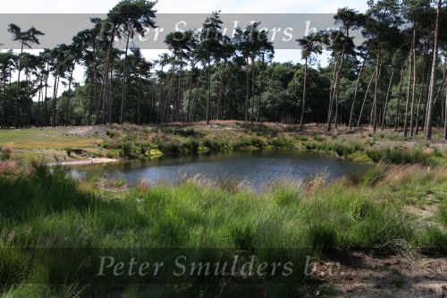 Leende, 19 Juli 2007
Golfclub Haviksoord met de nieuwe 9 holes