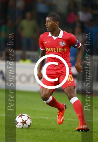 Eindhoven, 20 Augustus 2013
3e Voorronde CL PSV-AC Milan, eindstand 1-1
Georginio Wijnaldum
Foto Peter Smulders BV