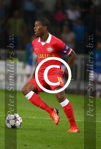 Eindhoven, 20 Augustus 2013
3e Voorronde CL PSV-AC Milan, eindstand 1-1
Georginio Wijnaldum
Foto Peter Smulders BV