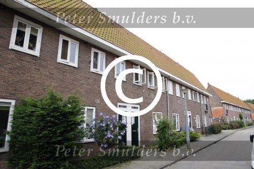 Amsterdam 22 augustus 2013
Gordon en Gerard Joling gaan voor het rtl programma even geen cent te makken een maand in een huis wonen in Amsterdam Noord.
Peter Smulders bv
