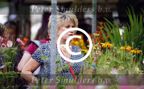 Amsterdam 17 augustus 2013
Jenny Arean op de noordermarkt in Amsterdam.
Peter Smulders bv