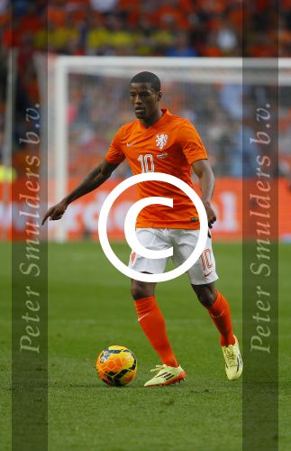 Amsterdam, 17 Mei 2014 Vriendschappelijke interland Nederland-Ecuador, eindstand 1-1
Georginio Wijnaldum
Foto Peter Smulders BV
