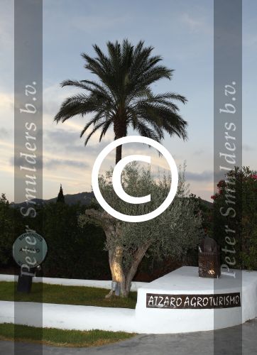 ibiza 5 september 2014
Wendy v Dijk en Erland Galjaard trouwen bij hotel Atzaro op ibiza. Sem en Lizzy v Dijk zijn natuurlijk ook aanwezig alsmede de moeder van Wendy de ouders van Erland en rest van de familie.