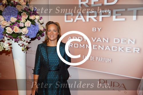Amsterdam 15 september 2014
Modeshow Addy v d Krommenacker in het ij theater
Aanwezig oa Prinses Margriet Prinses Aimee en Prinses Margarita