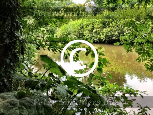 Eindhoven, 2 September 2015
Nauurlijk riviertje de Dommel met stromend water.