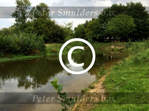 Eindhoven, 2 September 2015
Nauurlijk riviertje de Dommel met stromend water.