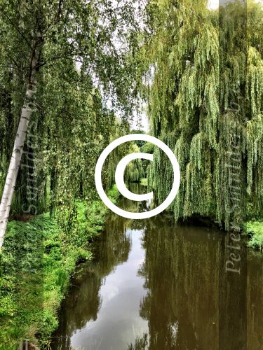 Eindhoven, 2 September 2015
Nauurlijk riviertje de Dommel met stromend water.