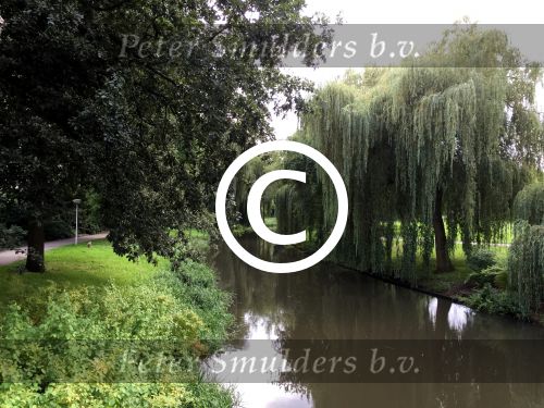 Eindhoven, 2 September 2015
Nauurlijk riviertje de Dommel met stromend water.