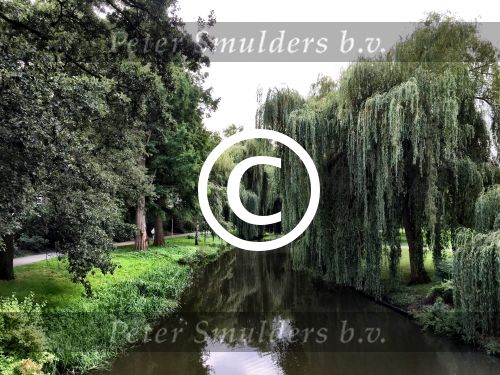 Eindhoven, 2 September 2015
Nauurlijk riviertje de Dommel met stromend water.