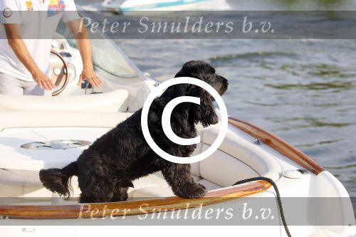 Nigtevecht 13 augustus 2015
Jurgen Smit en Milika Peterzon varen met hun boot en hond op de vecht.