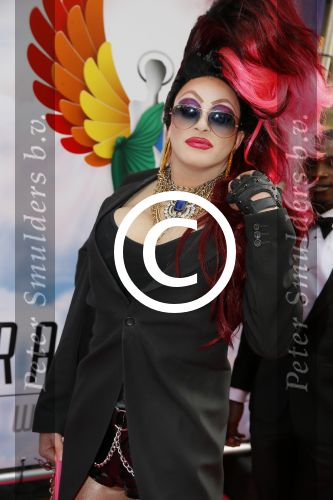 Amsterdam 29 juni 2015
Rainbow awards in Tuschinski.
