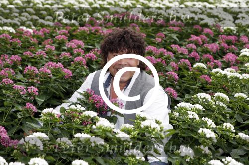 Rijsenhout 7 juli 2017
Dennie Christian voor promotie bloemen corso